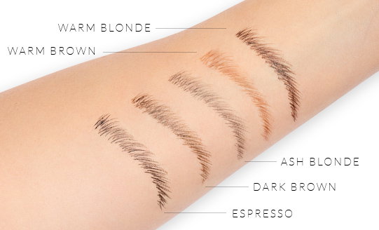 Arm with drawn-on different color eyebrows and shades names next to them